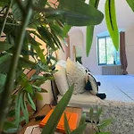 Apartament Da Simon *